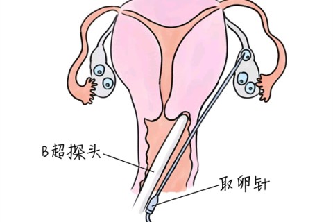 http://chongqing.huochezhan.net/post/205.html|重庆供卵助孕