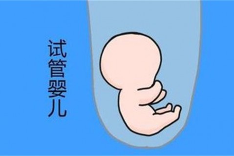培养重庆捐卵宝宝艺术细胞的小技巧