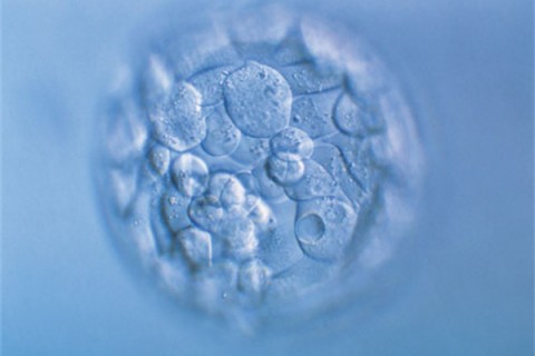 http://chongqing.huochezhan.net/post/200.html|重庆新闻中心